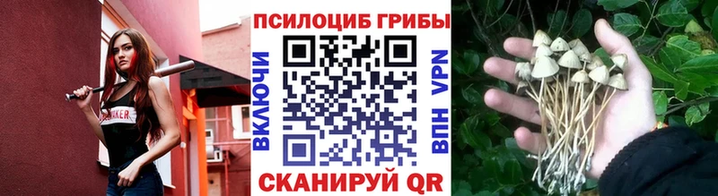 Псилоцибиновые грибы прущие грибы  Купить закладки  Мирный 